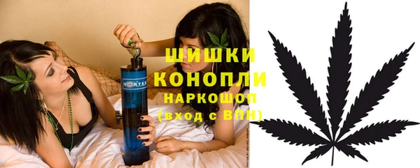 сатива Богданович