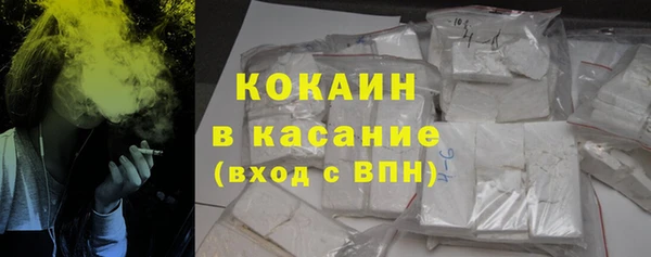 сатива Богданович