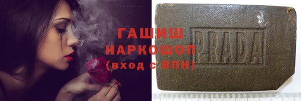 сатива Богданович